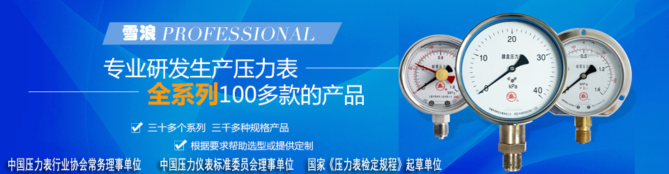 立即博官网专业研发生产压力表全系列100多款产品